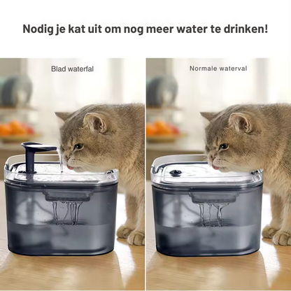 Drinkwaterfontein kat - Zwart