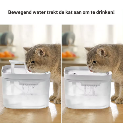 Drinkwaterfontein kat - Wit